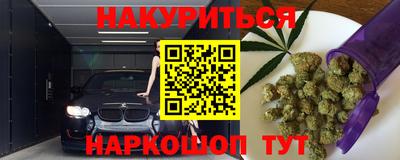 стаф Кинель