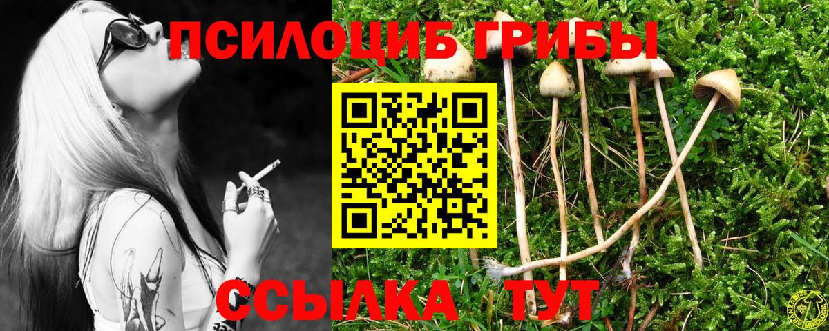 Галлюциногенные грибы Psilocybine cubensis  Вход с VPN  Кстово 